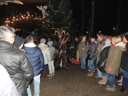 Baumkronenweg Kopfing