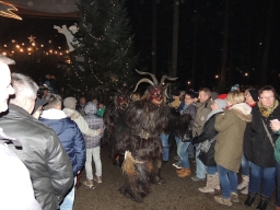 Baumkronenweg Kopfing