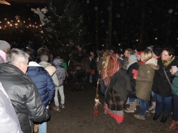 Baumkronenweg Kopfing