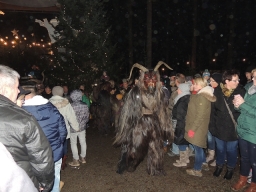 Baumkronenweg Kopfing