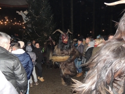 Baumkronenweg Kopfing