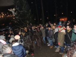 Baumkronenweg Kopfing