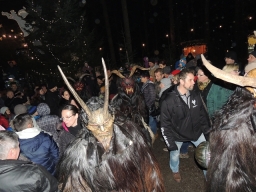 Baumkronenweg Kopfing