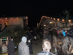 Baumkronenweg Kopfing