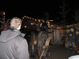 Baumkronenweg Kopfing