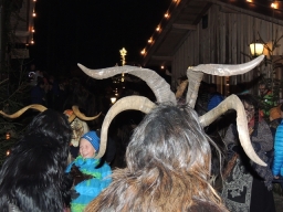 Baumkronenweg Kopfing