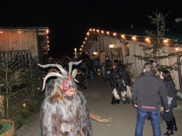 Baumkronenweg Kopfing