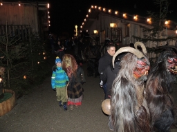 Baumkronenweg Kopfing