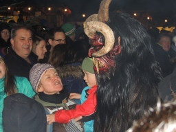 Baumkronenweg Kopfing