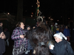 Baumkronenweg Kopfing