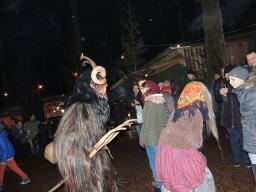 Baumkronenweg Kopfing