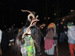 Baumkronenweg Kopfing