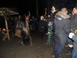 Baumkronenweg Kopfing