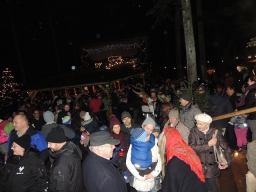 Baumkronenweg Kopfing