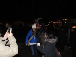 Baumkronenweg Kopfing