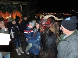 Baumkronenweg Kopfing