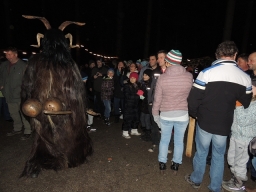Baumkronenweg Kopfing