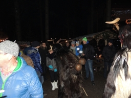 Baumkronenweg Kopfing