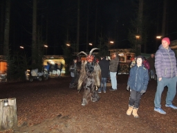 Baumkronenweg Kopfing