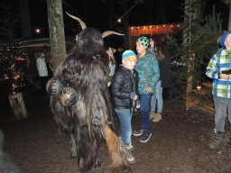 Baumkronenweg Kopfing