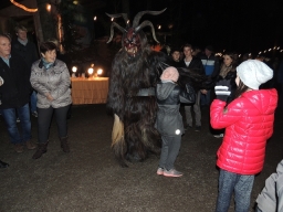 Baumkronenweg Kopfing