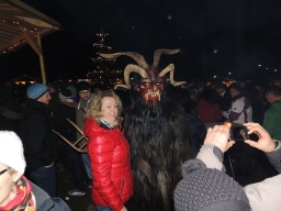 Baumkronenweg Kopfing