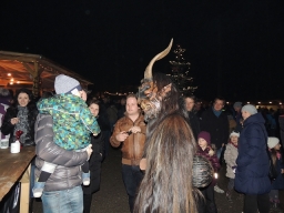 Baumkronenweg Kopfing