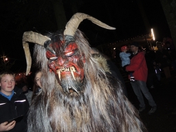 Baumkronenweg Kopfing