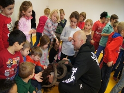 Volksschule Doppl Hart