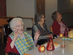 Seniorenheim Lenaupark