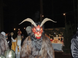 Baumkronenweg Kopfing