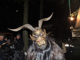 Baumkronenweg Kopfing