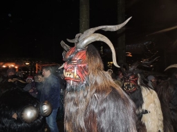 Baumkronenweg Kopfing