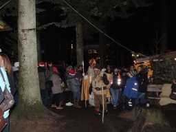 Baumkronenweg Kopfing