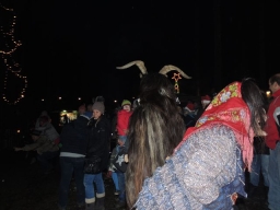 Baumkronenweg Kopfing