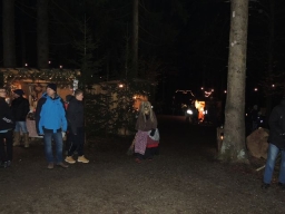 Baumkronenweg Kopfing