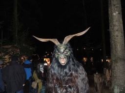 Baumkronenweg Kopfing