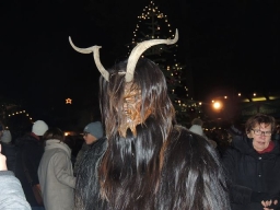 Baumkronenweg Kopfing