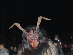 Baumkronenweg Kopfing