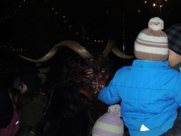 Baumkronenweg Kopfing