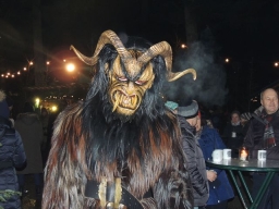 Baumkronenweg Kopfing