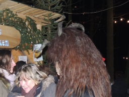 Baumkronenweg Kopfing