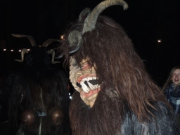 Baumkronenweg Kopfing