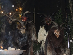 Baumkronenweg Kopfing