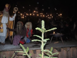 Baumkronenweg Kopfing