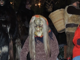 Baumkronenweg Kopfing