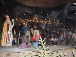 Baumkronenweg Kopfing