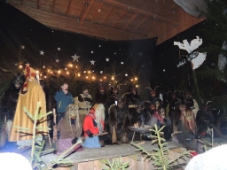 Baumkronenweg Kopfing