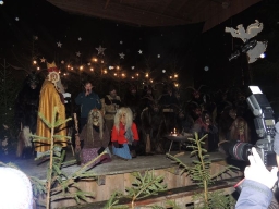 Baumkronenweg Kopfing