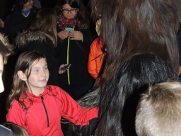 Gehörlosenverein Linz